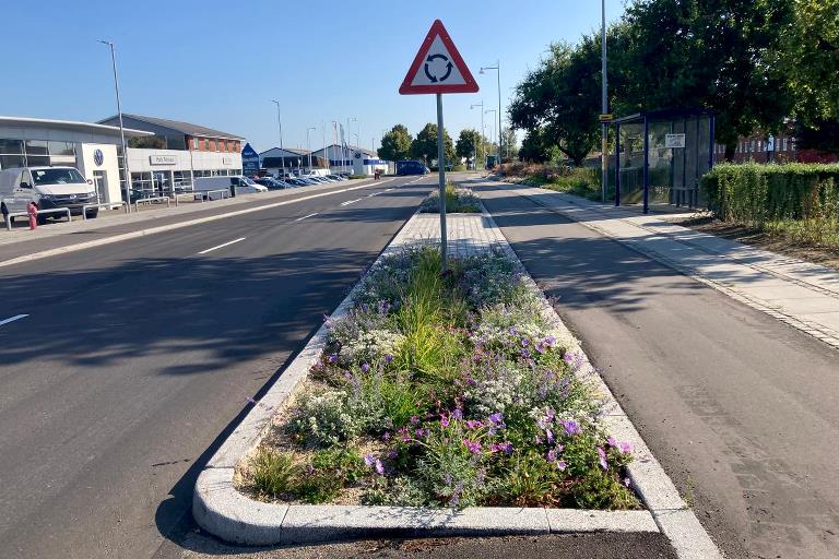 Et blomsterbed som er placeret mellem cykelsti og vej. Blomsterbedet er omkranset af lyse beton kantsten.