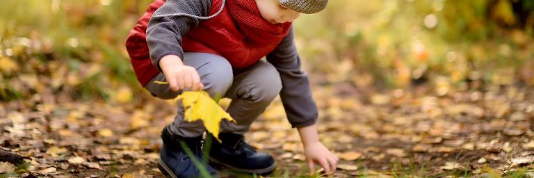 Barn samler nedfaldne blade i skovbunden 