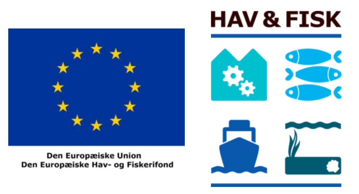 logo den europæiske hav og fiskerifond