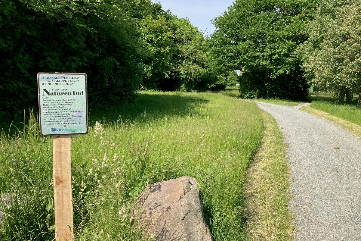 en grus sti, som bugter sig igennem det høje grønne græs, samt  et af Park og Vejs informationsskilte i forgrunden.